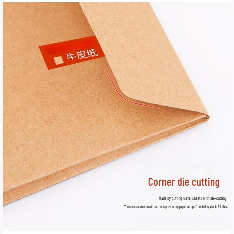 RYZH Kraft Paper A4 Archive Document Bags (100-Pack)