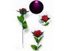 LED Glowing Rose Flower 0276
