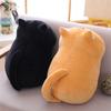 Cute Cat Plush Toys Cartoon Soft Stuffed Dolls Cute Plush Toys Pillows Cusion Gifts