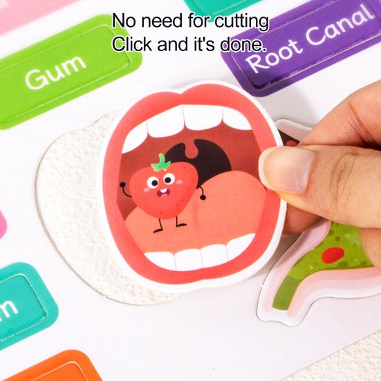 Kinder Menschenkörper Beschäftigungsbuch Kindergarten Vorschule Körperstruktur Anatomie Ruhiges Buch Kleinkinder Pädagogisches Körperteil Lernaktivitäten Buch