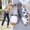 2025 Women's Printed Cowhide Pointed Toe Flats - Comfortable Casual Nursing Shoes