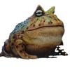 New Product Creative Simulation Frog Resin Craft Courtyard Decoration Animal Model Ornament Desk Decoration Home Accessories