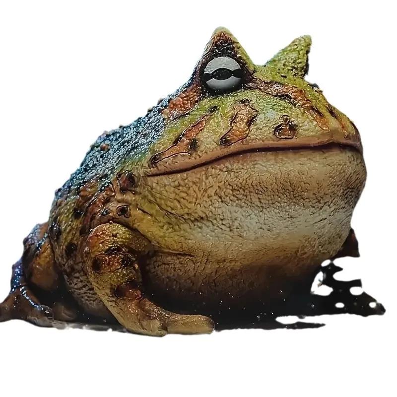 New Product Creative Simulation Frog Resin Craft Courtyard Decoration Animal Model Ornament Desk Decoration Home Accessories