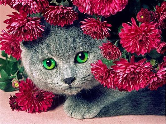 Diamond Mosaic Animal Diamond Painting Cats Diamond Embroidery Cross Stitch Flowers Picture Of Rhinestones Handcraft