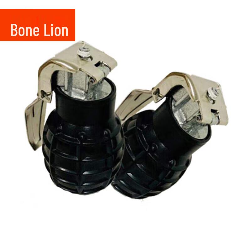 Bone Lion Model Teaching Aid with Sound & Light