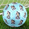 Messi Fotboll Storlek 5 Fotboll Maskinsydd Inomhus/Utomhus Universell Fotboll Sportentusiast Presenter