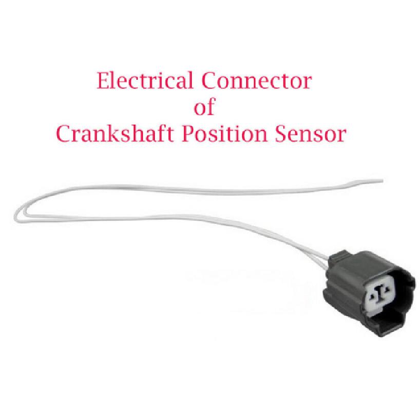 Connector of Crankshaft Position Sensor PC257 Fit Acura CL Honda Accord
