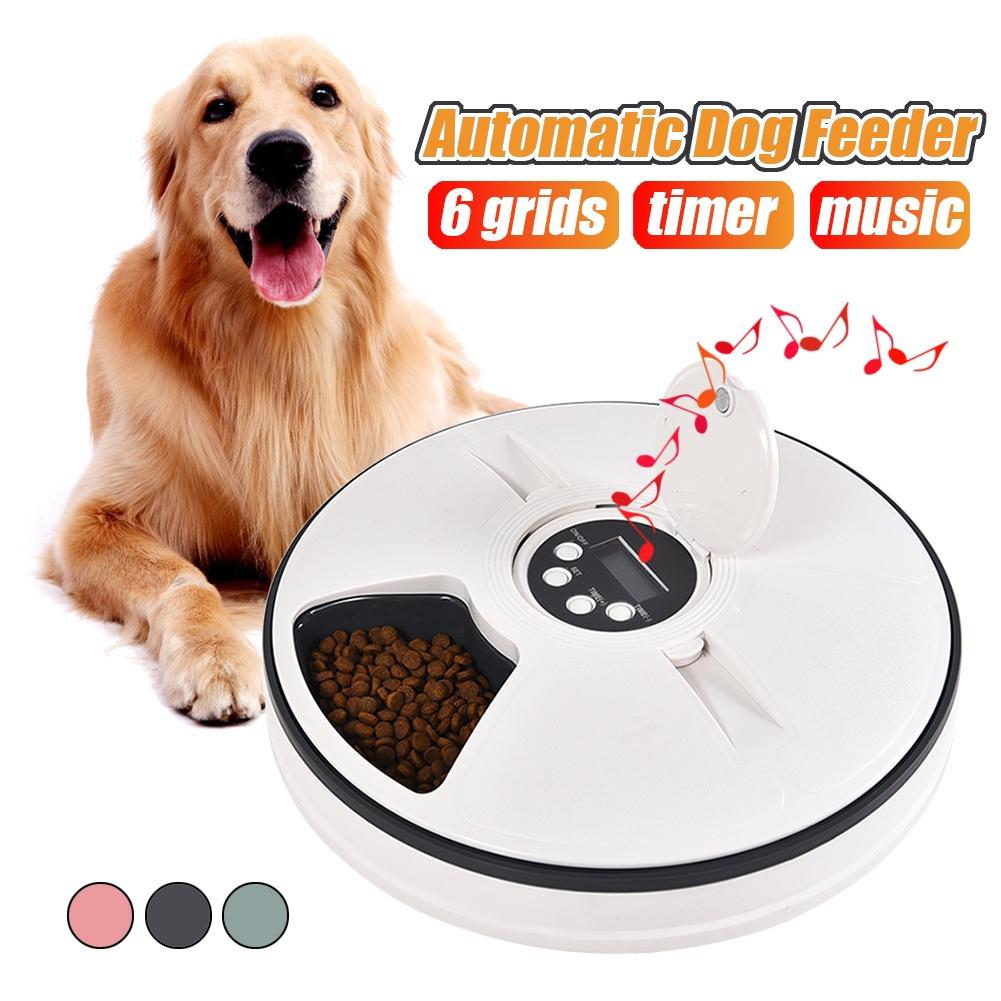 electric dog feeder