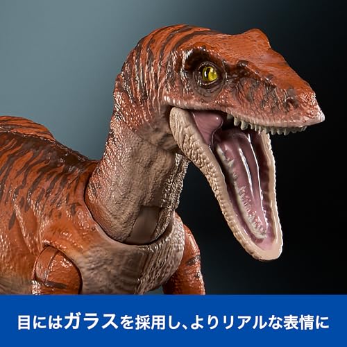 Mattel JURASSIC WORLD Hammond Collection Velociraptor Tiger Children's Figure Dinosaur Toy Moving Large Total Length: Approx. 19.8cm Ages 8 and Up