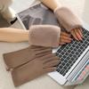 Women's Autumn And Winter Rabbit Fur Gloves Plus Velvet Thickened Windproof And Warm Riding Cold-proof Touch Screen Suede Gloves