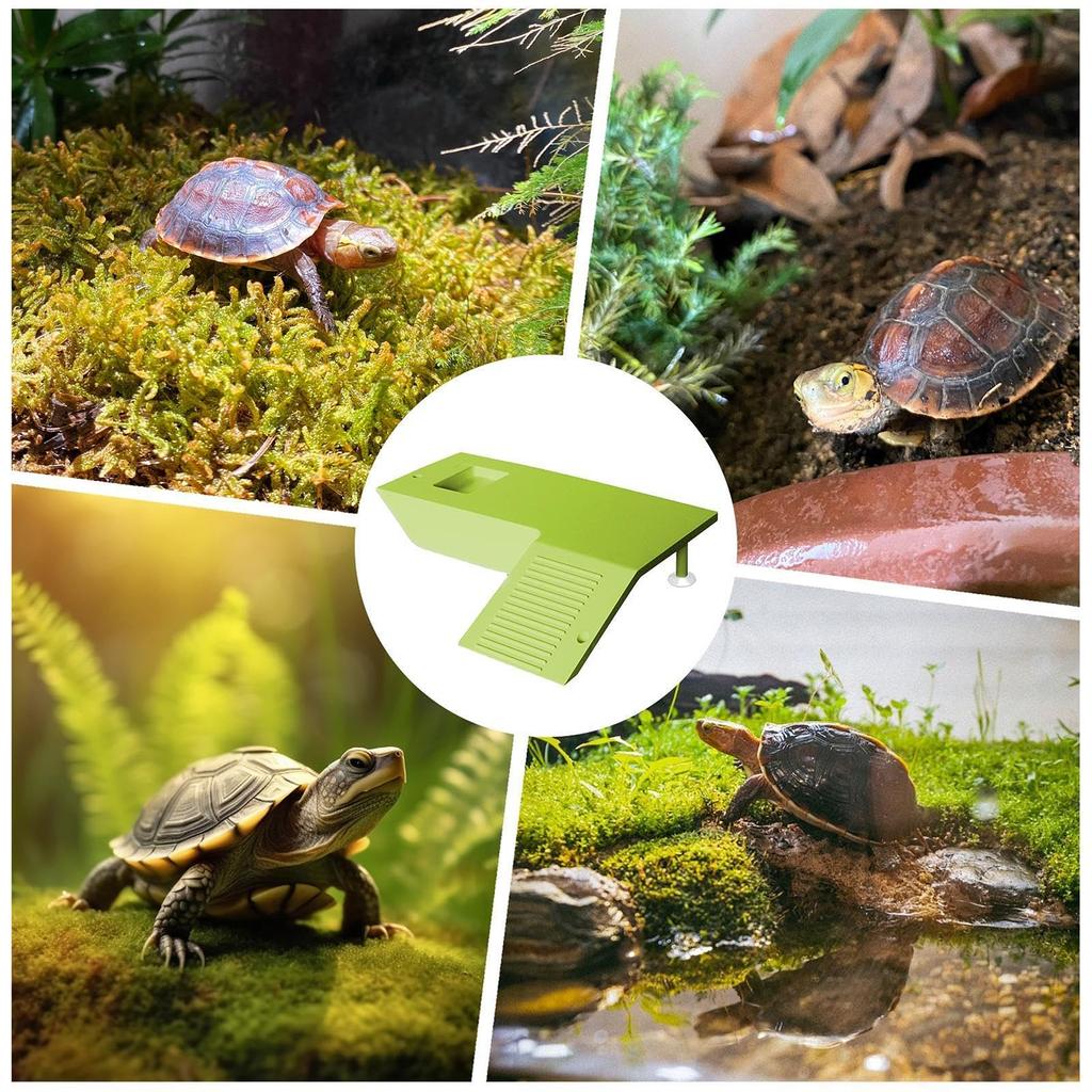 Feeding Table Versatile Aquatic Turtle Basking And Climbing Natural Habitat Aquarium Accessory