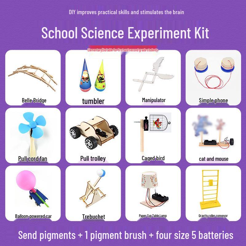 Elementary Science Experiment Wooden DIY Kit - Educational Toys
