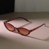 Retro Cat Eye Designer Sunglasses Small Frame Mirror Lens for Women Men Vintage Outdoor Sun Glasses Oculos De Sol