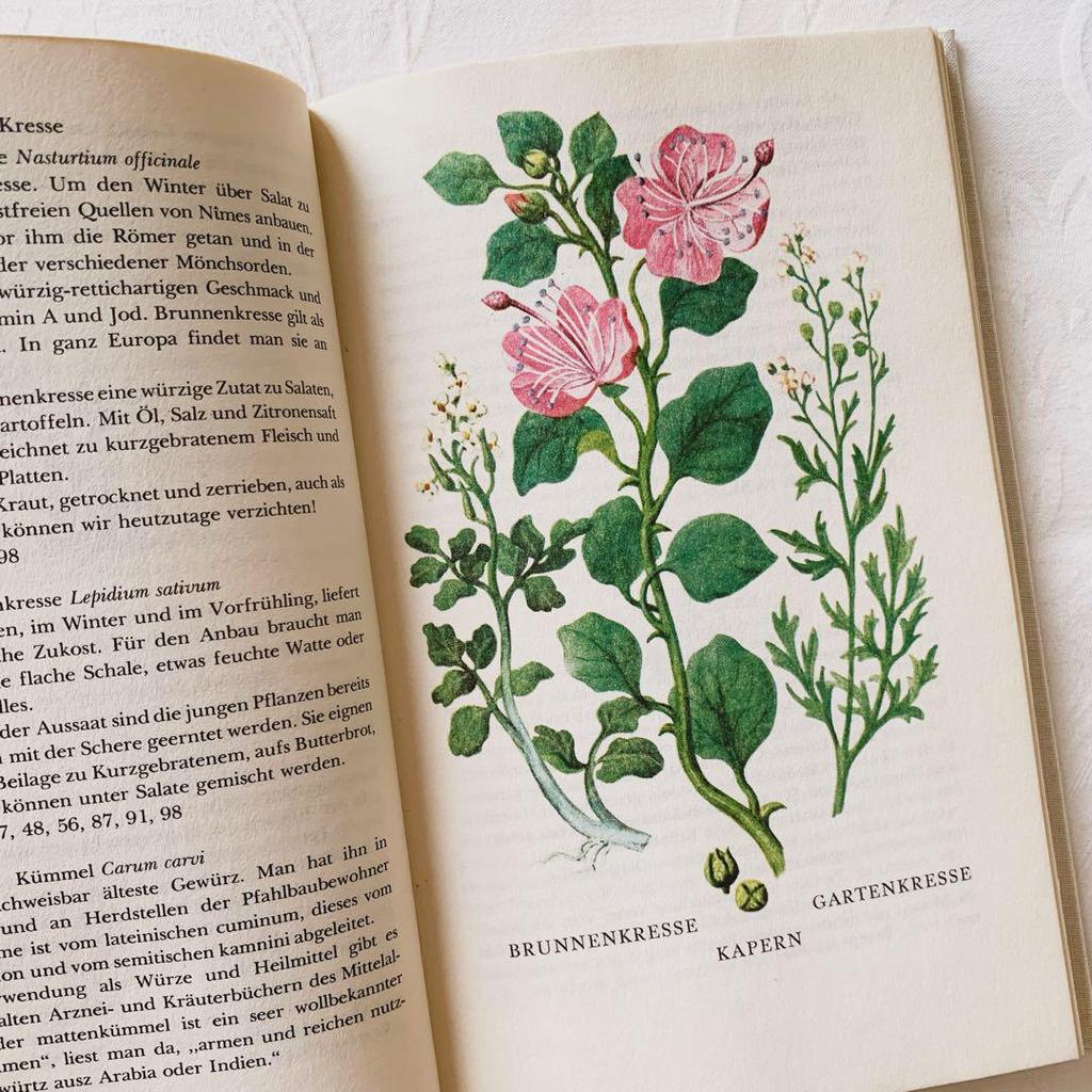 [USED] I'm drawn to the rustic feel of these vintage books on spices and herbs, foreign books, and old botanical books.