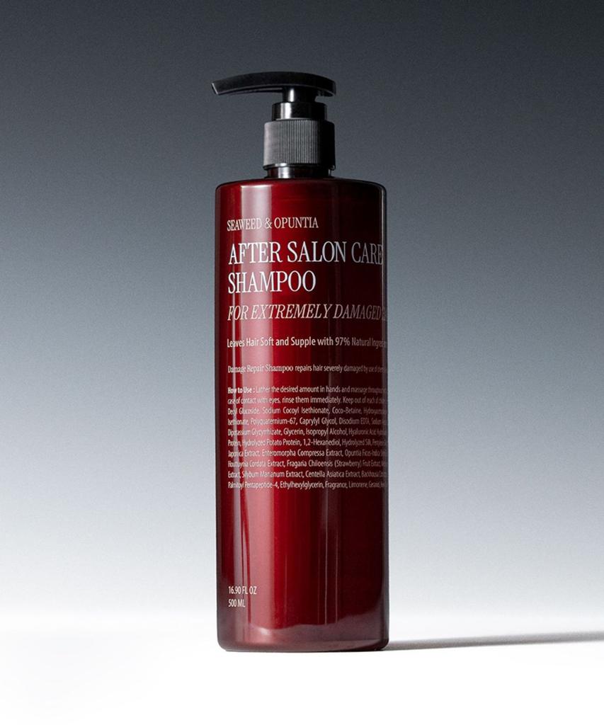 Shampoo per la cura dopo il salone (Gravemente Danneggiato) 500ml
