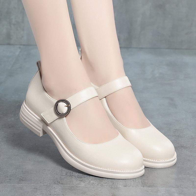 New Spring Summer Fashion Women Shoes Elegant Shallow Mouth Round Toe Square Heel Casual Women's Shoes Comfortable Soft Sole