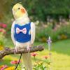 Safety Parrot Flying Harness Adjustable Parrot Flight Suit Parrot Vest  Budgie
