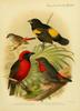 Metall-Wandschild Vogel-Dekor, Blechschild Vintage-Kunstwerk, Retro-Wanddekorationsplatte