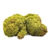 BioClumb Moss Cushion moss, tufts 100g