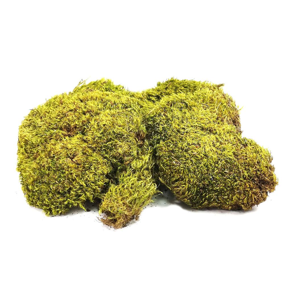 BioClumb Moss Cushion moss, tufts 100g