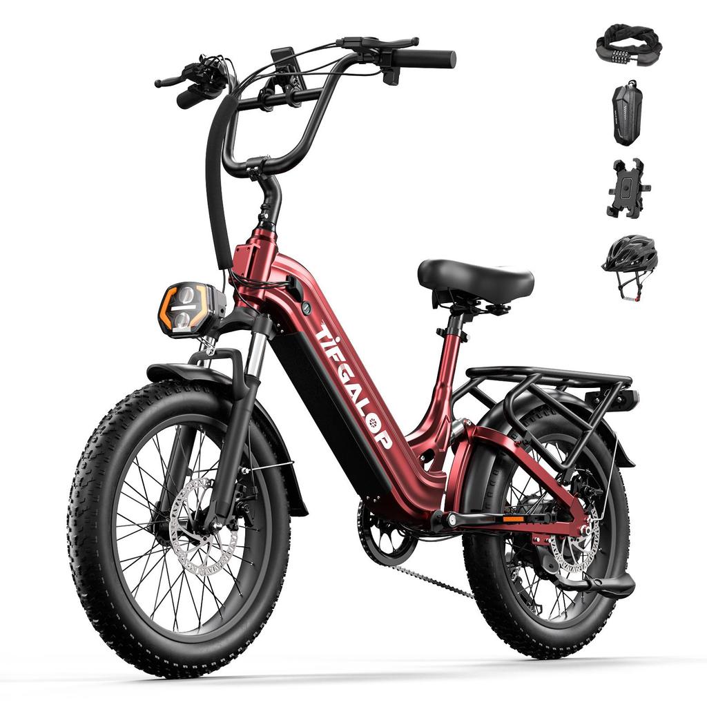 Tifgalop XC20 Outdoor Riding Electric Bicycle 48V20AH Battery 500W Motor 20 Inch Fat Tires All-Terrain E-Bike Urban Commuting Electric Bike