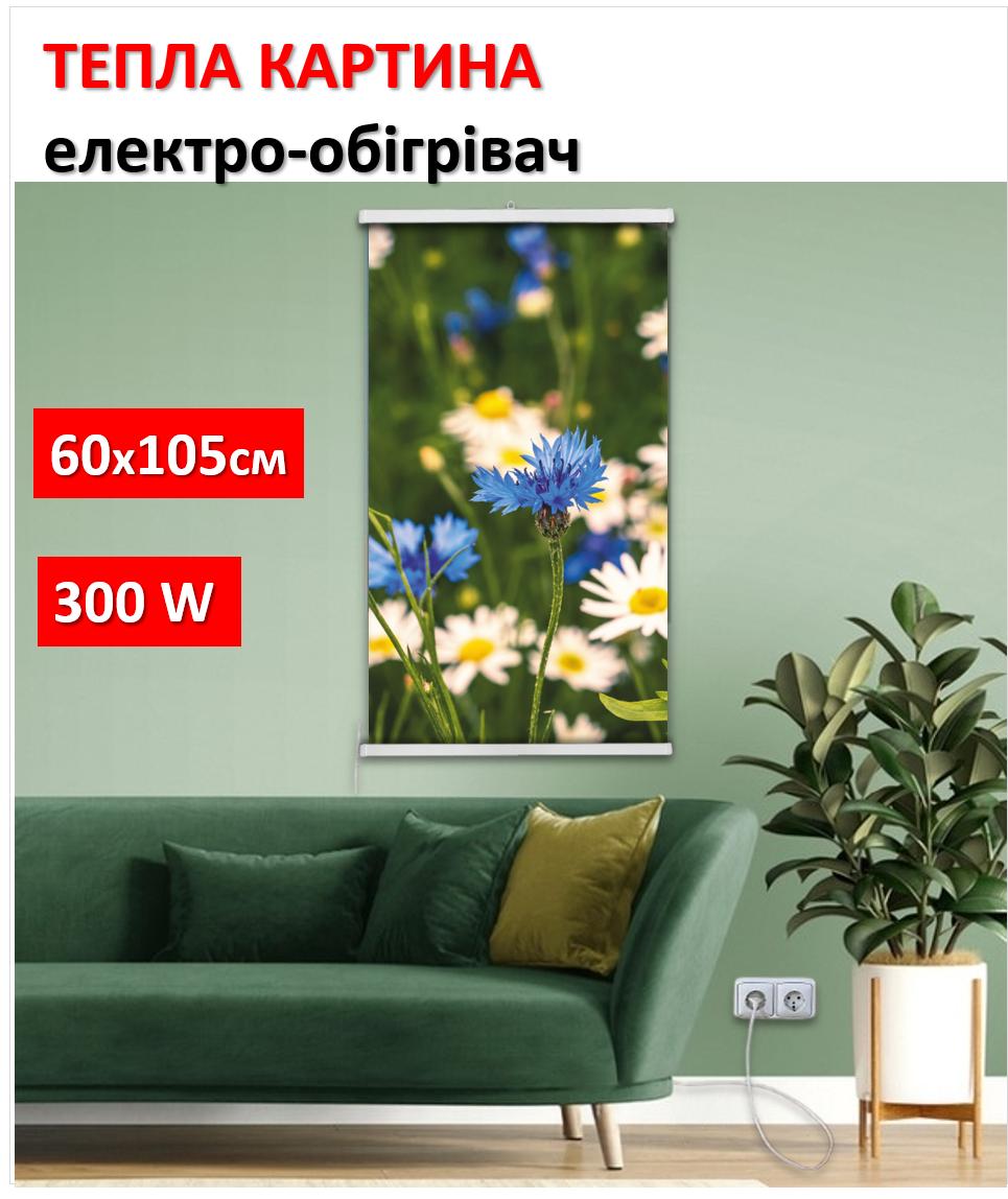 

Інфрачервоний настінний обігрівач картина Васильки-Ромашки 61x107см/250Вт/220В