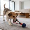 Interaktives Hundespielzeug – Rollender Ball mit Seil, Bewegungsaktiviertes Spiel, Wiederaufladbar, Ideal zur Langeweilebekämpfung für alle Hundegrößen