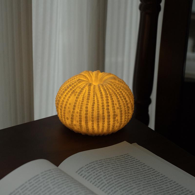 

Ocean Sea Animals Night Lighting Starfish Shell Luminous Ornament Kids Girl Birthday Battery Operated Lamp Home Decor