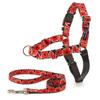 PetSafe Easy Walk Chic Designer Harness and Poppy No-Pull Leash, Small,