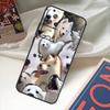 Samoyed Puppy Funda For POCO M6 Pro X3 X4 X5 X6 M5s F3 F5 Xiaomi 13T Pro 12T 11T 12 13 Lite 14 Ultra Case