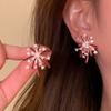 Elegant High-End Firework Stud Earrings: Niche Fashion Design for Women