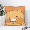K-Kakaos F-Friends Choonsiks Pillow Case  Custom Pillow Cover For Sofa Bedroom Home Decor Vintage Cushion Cover