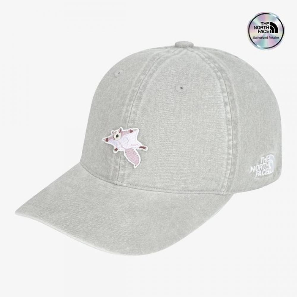 The North Face White Label Logo Ball Cap Wappen Gray Ne3cs06l GRAY/ONE