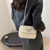 Niche design small bag women's 2025 new model, this year's popular aesthetic leisure autumn fashion simple messenger bag