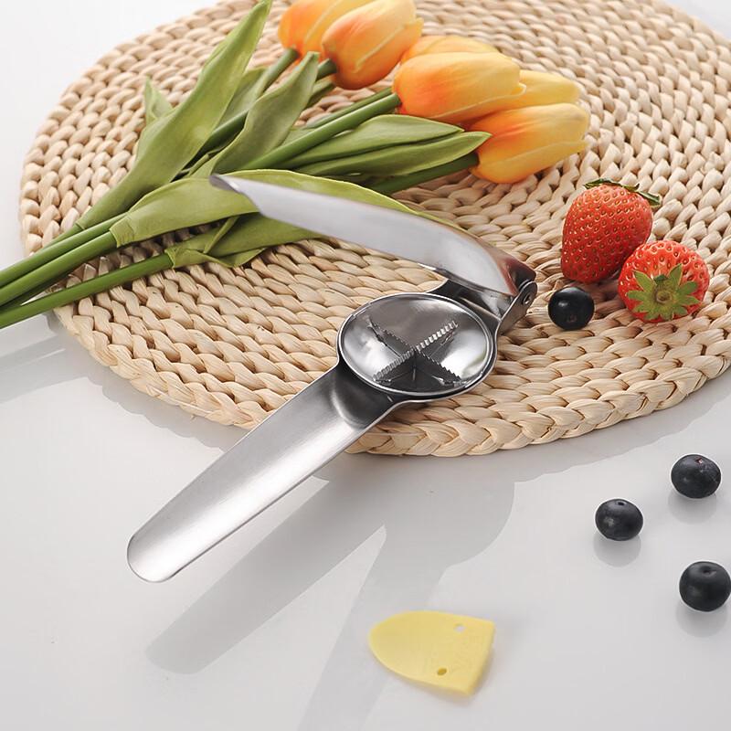Stainless Steel Chestnut Opener
