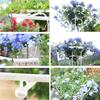 Assembled Umbrella Flower Stand Climbing Vine Plant Easy to Install Garden Plant Support