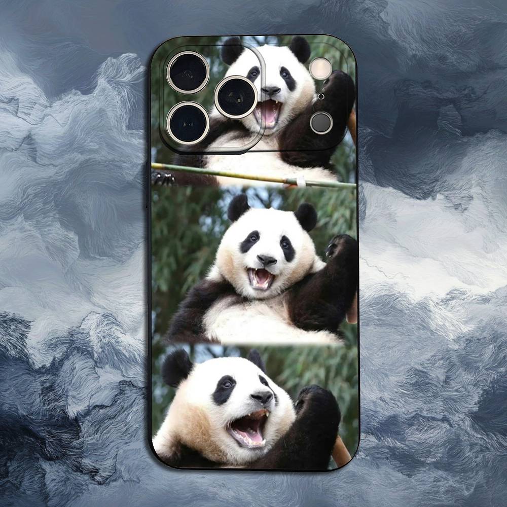 

Cute F-Fubao Animal Panda For iPhone 13,17,11,12,16,14,15,Plus,Pro Max,XS,X,XR,SE,Mini,8,7,Soft Silicone Black Phone Case iPhone12PROMAX