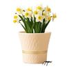 Nordic Style Large Ceramic Flower Pot for Money Tree, Pothos, and Clivia