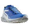 Salomon Sense Ride 5 кроссовки трейловые