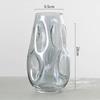 Nordic Style Irregular Glass Vase for Desktop Hydroponics