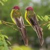 1PC Garden Flower Decoration Artificial Feather Bird, Foam Feather False Sparrow, Imitation Bird Ornaments