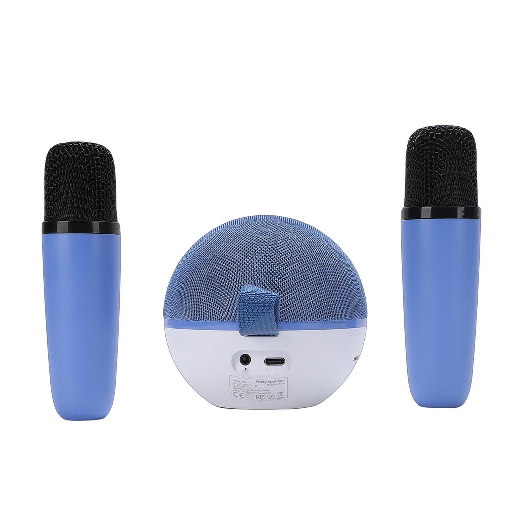 Karaoke Machine Rechargeable Portable Bluetooth 5.3 Karaoke Speaker with 2 Wireless Microphones Colorful Lights 5 Sound