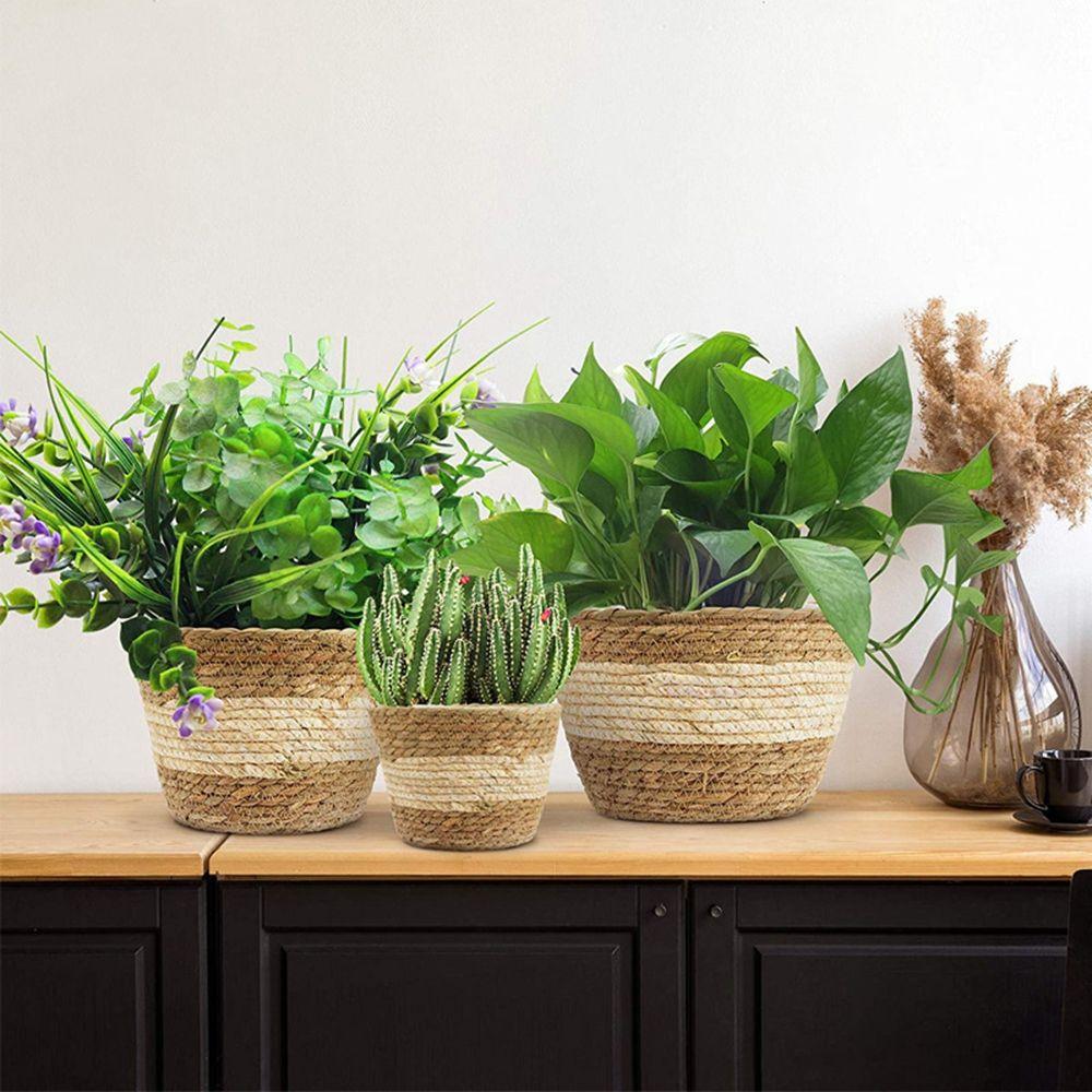 For Plantable Plants Nordic Handicraft Indoor Outdoor Flower Grass Plant Containers Planting Accessory Plant Basket Flower Pots
