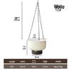 Large Self-Watering Hanging Basket for Trailing and Succulent Plants