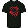 Torn Albania Flag Albanian Day Football Unisexs Light Cotton Tshirt