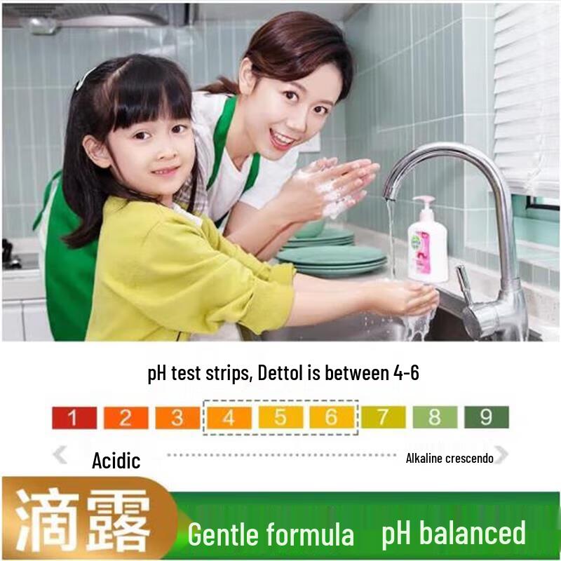 Dettol 99.9% Antibacterial Moisturizing Hand Wash (2 x 500g)