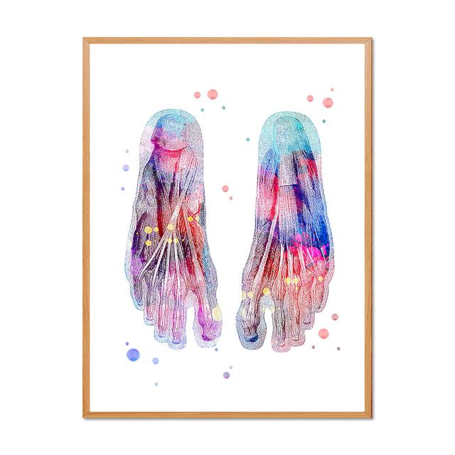 Human Skeleton Medical Anatomy Diagram Decorative Painting Limbs Structure Diagram Poster Room Wall Art Prints Modern Home Decor No Frame