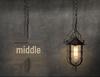 Vintage Industrial Iron Birdcage Pendant Light for Restaurants & Dining