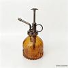 Retro Embossed Glass Spray Bottle – Small Pressure Watering Can for Garden & Home Flowers
