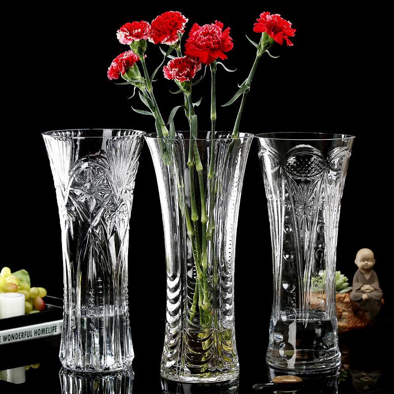 Extra Large Transparent Glass Vase, 50cm Height, Wide Diameter for Flower Arrangements, Living Room Decor, Hydroponic Lucky Bamboo